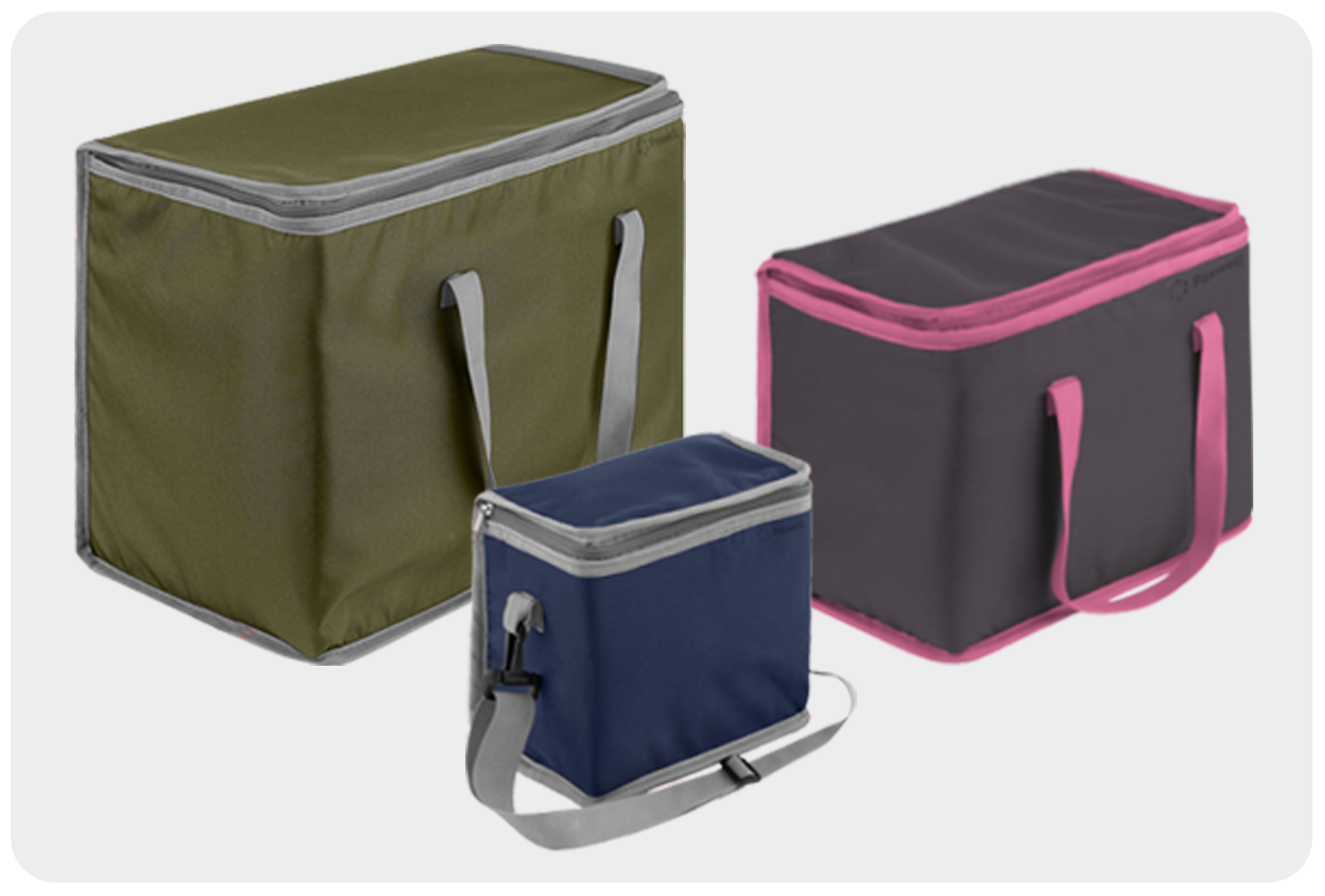 <span style="font-weight: 700;">Fresh collection</span>